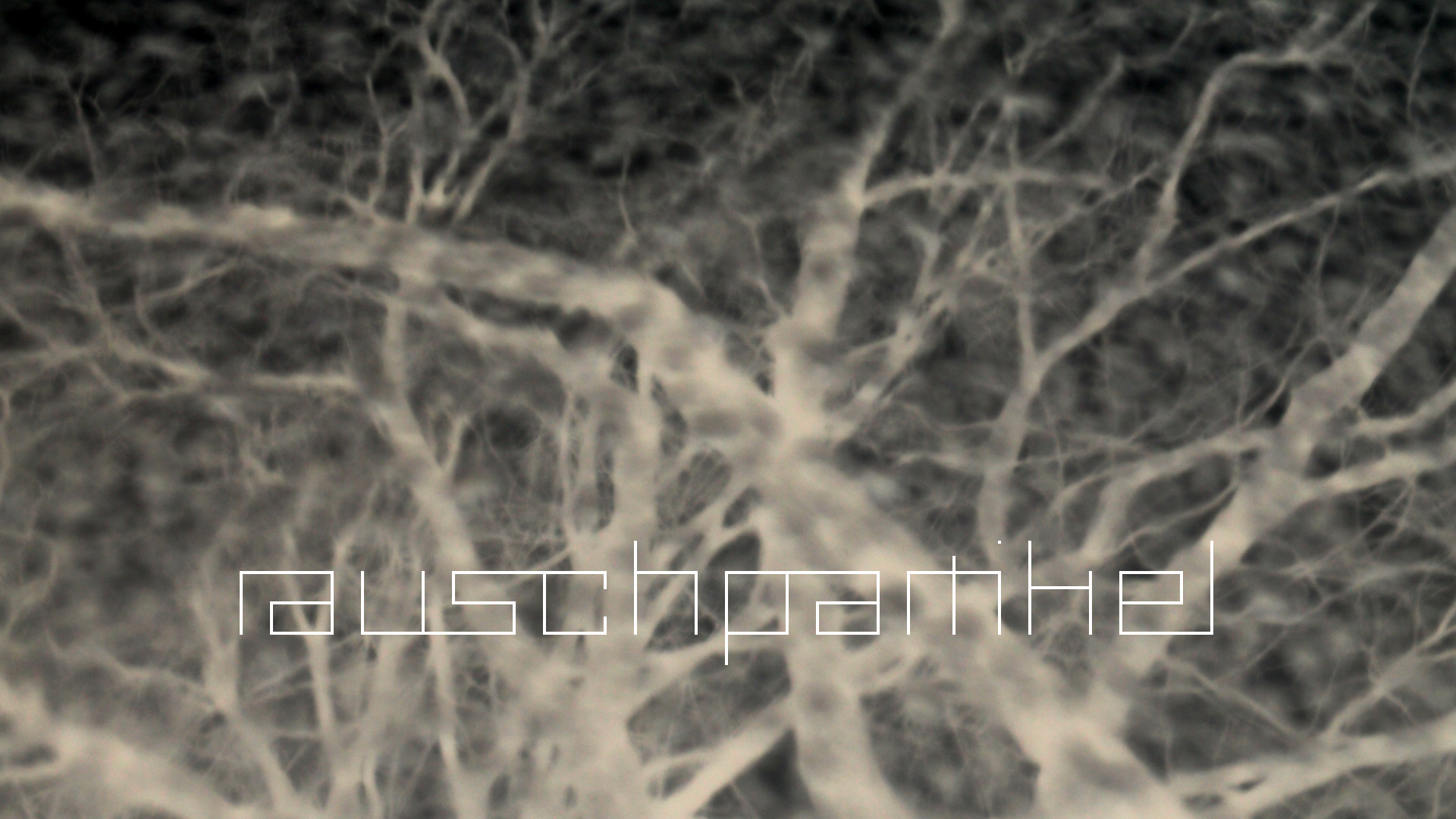 2021-01-06 - 08 Kühlgeträt (On/Off) (Remix John Cage - Empty Words IV)